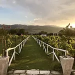 B&B Ca' Del Conte - Maison De Charme 파둘라
