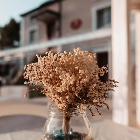 Ca' Del Conte - Maison De Charme Bed & Breakfast