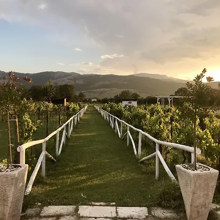 ベッド・アンド・ブレックファスト Ca' Del Conte - Maison De Charme パドゥーラ