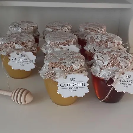 Ca' Del Conte - Maison De Charme 帕杜拉